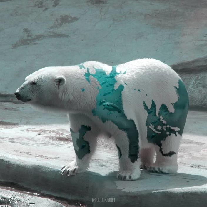 Я использую Photoshop, чтобы делать сказочных животных. Как вам?!