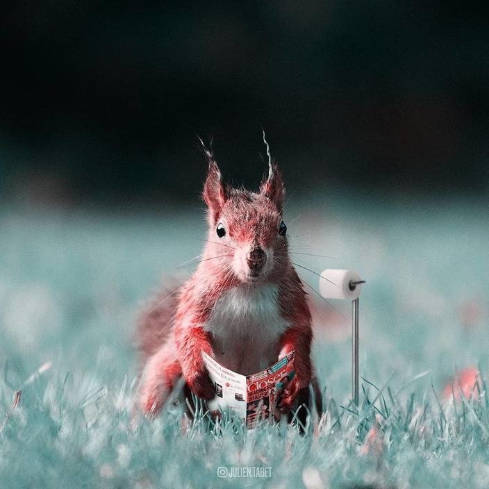 Я использую Photoshop, чтобы делать сказочных животных. Как вам?!