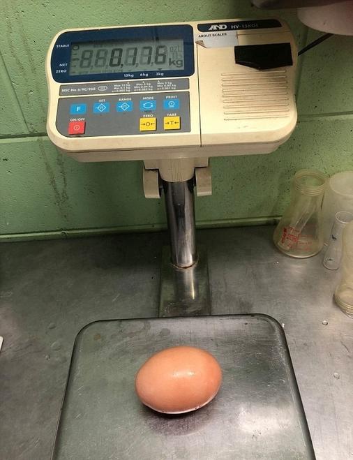 Фермер удивился, когда обнаружил куриное яйцо, которое было в три раза больше обычного. И удивился ещё раз, когда разбил его и обнаружил, как богат его внутренний мир