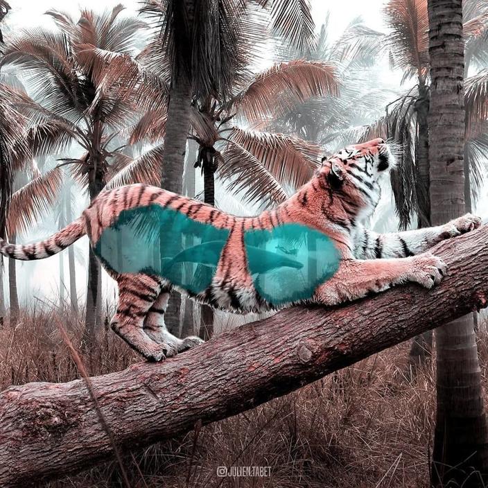 Я использую Photoshop, чтобы делать сказочных животных. Как вам?!
