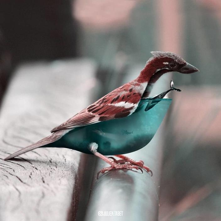 Я использую Photoshop, чтобы делать сказочных животных. Как вам?!