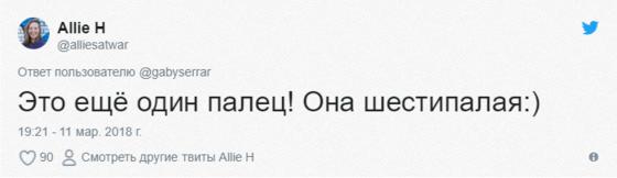 Эта очаровательная кошечка каждый день приносит своей хозяйке цветы. Правда отнюдь не из романтических побуждений