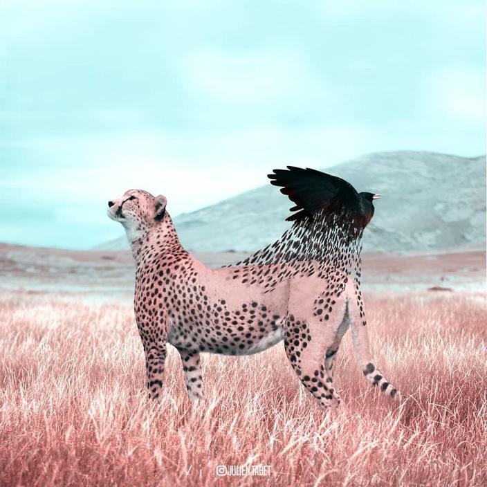 Я использую Photoshop, чтобы делать сказочных животных. Как вам?!
