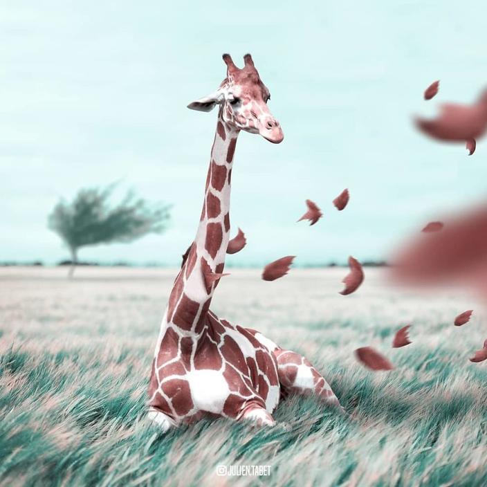 Я использую Photoshop, чтобы делать сказочных животных. Как вам?!