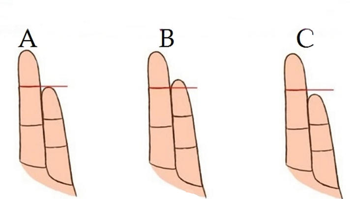  С ума сойти!  Вот как длина ваших пальцев влияет на ваш характер!