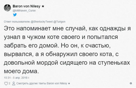 Мужчина ехал домой на машине и случайно встретил своего кота. Реакция питомца бесценна