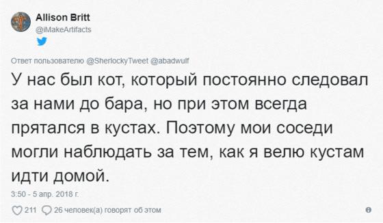 Мужчина ехал домой на машине и случайно встретил своего кота. Реакция питомца бесценна