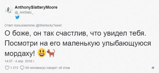 Мужчина ехал домой на машине и случайно встретил своего кота. Реакция питомца бесценна