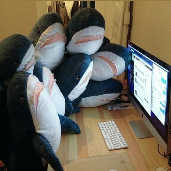 Эти плюшевые акулы из Икеи заполонили интернет. А всё потому что они живут на всю катушку!