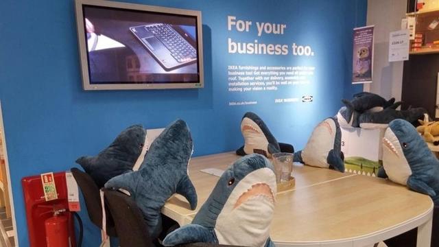Эти плюшевые акулы из Икеи заполонили интернет. А всё потому что они живут на всю катушку!