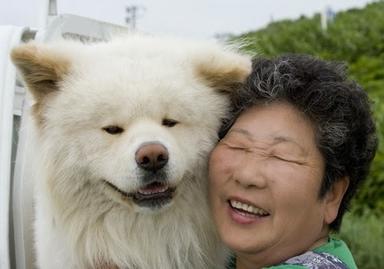 В Японии высокою должность отдали…псу. И это не шутка, а вполне обоснованное решение
