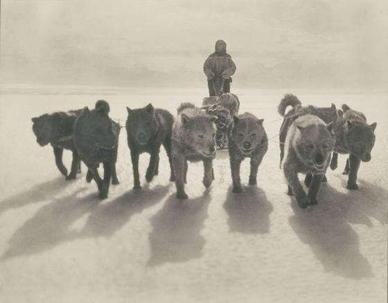 33 редких фото с первой поездки австралийцев в Антарктиду Они заставят вас дрожать!