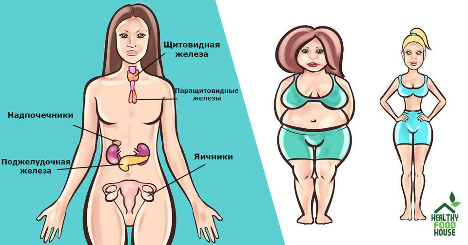 Есть 6 гормонов, которые мешают вам похудеть. Вот что делать с каждым из них Подробные инструкции.