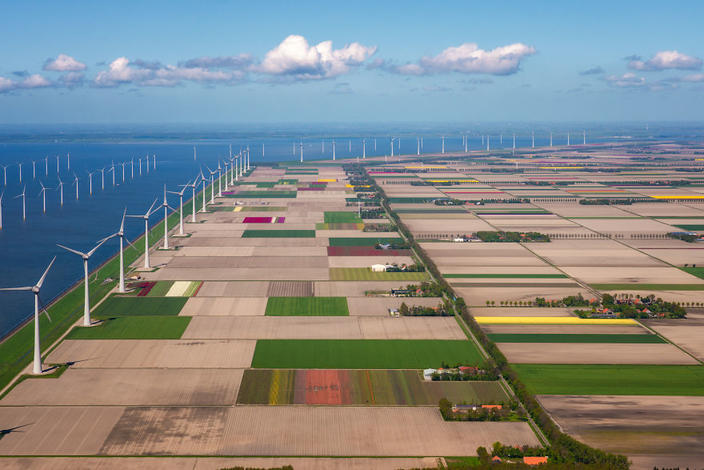 Фотки этих тюльпанов заставят вас приехать в мою страну - Нидерланды Это настолько красиво, что вы не поверите своим глазам!