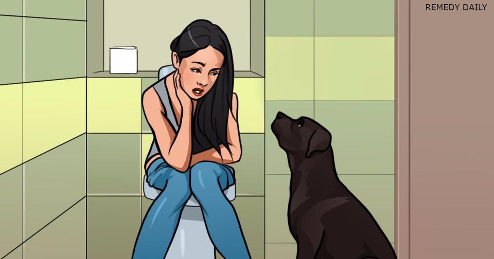 10 причин, почему собаки идут за вами даже в туалет и ванную Последний пункт - гениальный!