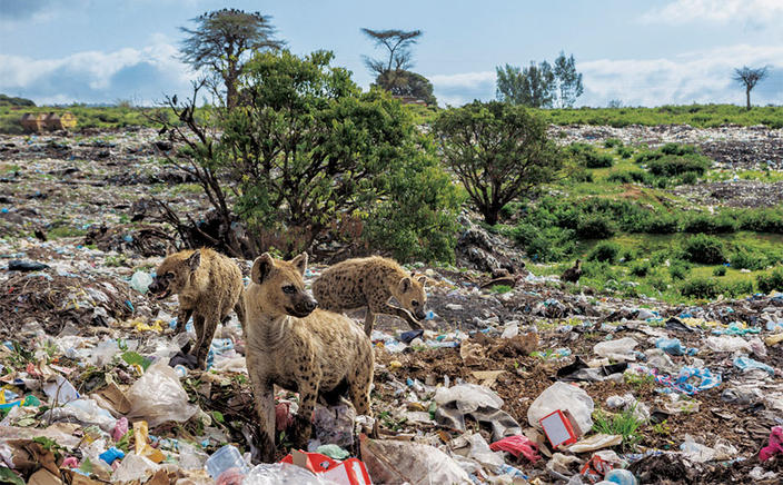 National Geographic показал, что с нашей планетой делает пластик. Содрогнулся весь мир!.. Это должен увидеть каждый!