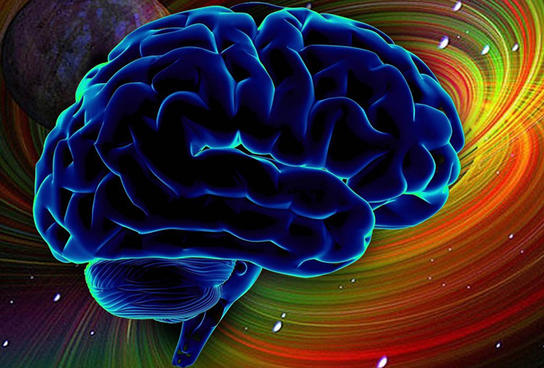 10 способов увеличить уровень допамина в мозге