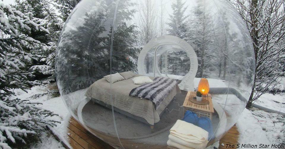В Исландии можно спать в таких ″пузырях″ и смотреть на лес и северное сияние Это не экстрим, а отель в Исландии.