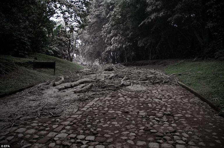 62 трупа и города-″призраки″: кошмар в Гватемале продолжается Фото с места событий.