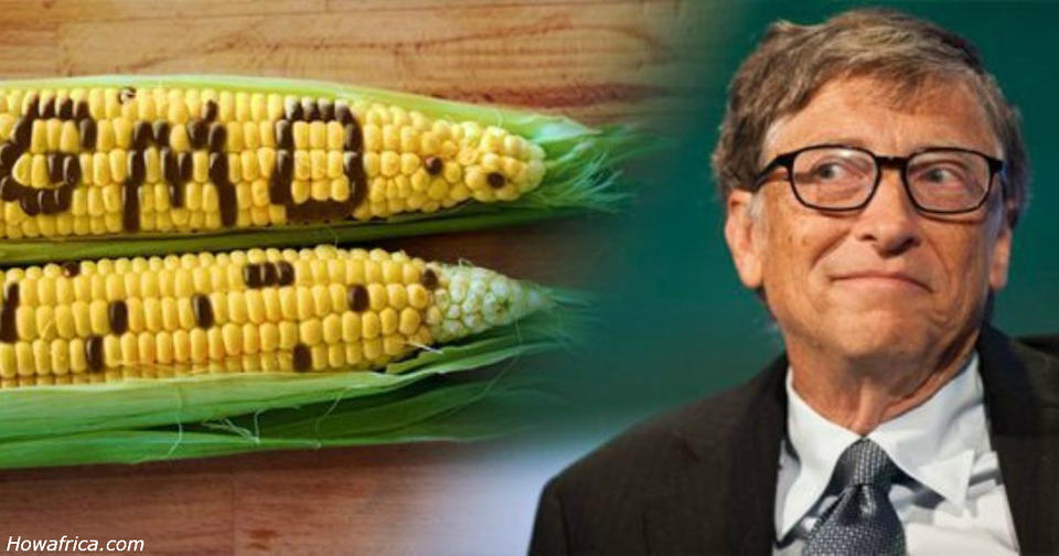 Билл Гейтс считает, что ГМО   ″абсолютно здоровая еда″. Врачи согласны ГМО   это ″просто″ метод селекции?
