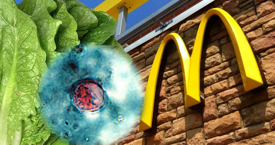 Минимум 61 человек отравился салатами из McDonald's! Вот что вам надо знать Циклоспора.