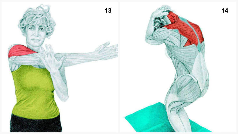 34 картинки о том, какие именно мышцы вы растягиваете во время разных упражнений Выбирайте то, что вам надо.