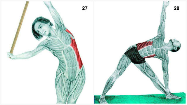 34 картинки о том, какие именно мышцы вы растягиваете во время разных упражнений Выбирайте то, что вам надо.