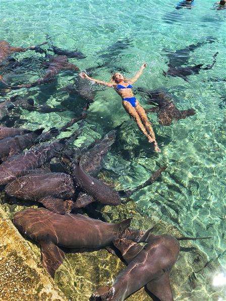 Модель хотела фото в Instagram с акулами. Смотрите, что получилось Поплавала, называется.