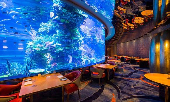 11 нереальных подводных ресторанов, хотя бы в одном из которых вы обязаны побывать Обед на пару с рыбами.