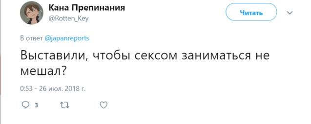 Чем недоволен кот? Загадка, которая могла родиться только в Японии Элементарно, да?