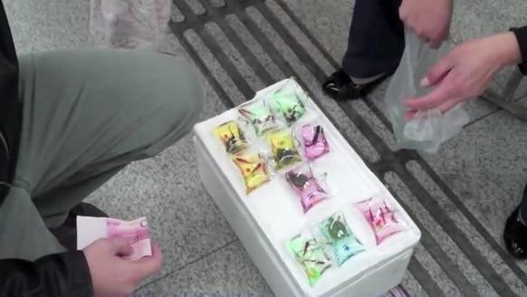 В Китае новый тренд на сувениры: брелоки с живыми черепашками внутри Какая жестокая забава...