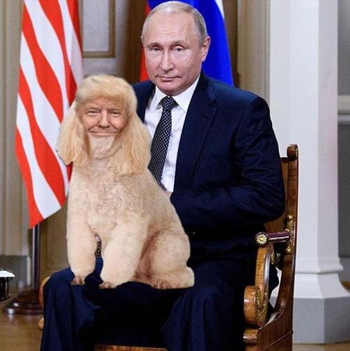 Трамп встретился с Путиным - и теперь над ним смеется весь мировой интернет Тут больше 20 свежих мемов!