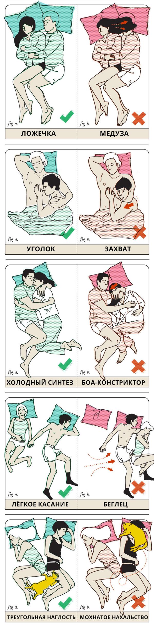 7 картинок о сексе, в которых есть все, что вы обязаны знать Шпаргалка для обоих полов.