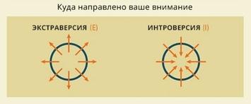 Ответьте честно на 4 вопроса — и мы дадим самую точную оценку вашей личности! Шутки в сторону: тест серьезный!