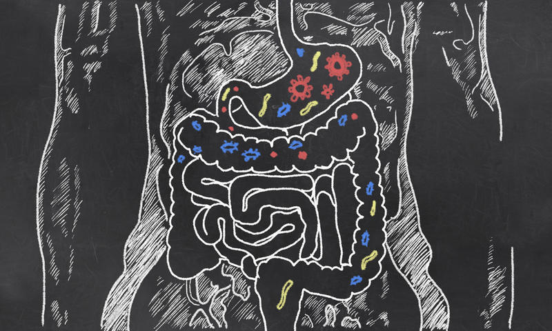8 способов выгнать токсины из толстой кишки. Так делают все врачи! Их там может быть до 9 кг!