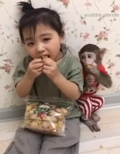 3-летняя девочка борется за еду с обезьянкой - и это очень смешно!! Смотрите видео.
