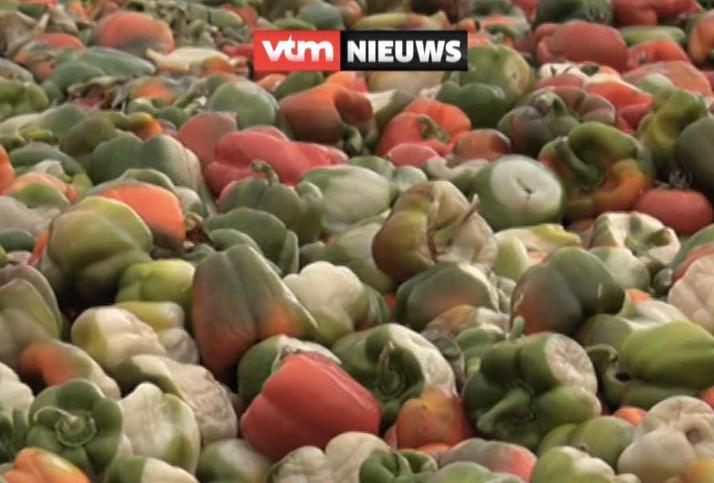 В ЕС тонны свежих овощей выбрасывают на свалку - лишь бы не отдавать бедным! Ничего личного: просто бизнес.