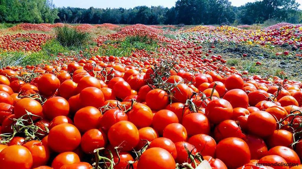 В ЕС тонны свежих овощей выбрасывают на свалку   лишь бы не отдавать бедным! Ничего личного: просто бизнес.