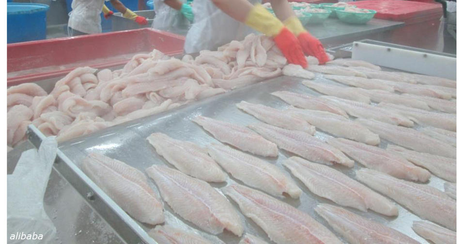 Пожалуйста, не покупайте эту рыбу вообще никогда! Она продается везде, но ее надо запретить! Пора подумать о себе и детях.