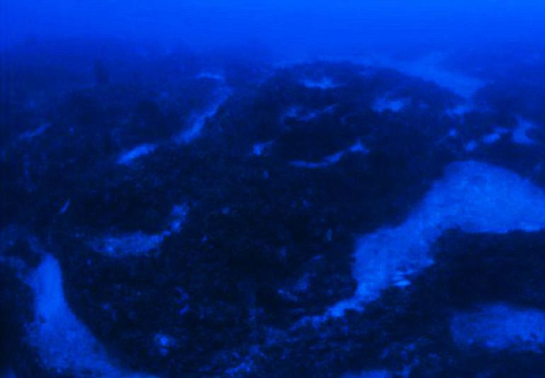 Ведущий с Discovery : Я нашел корабль пришельцев на дне Бермудского треугольника! Ему много сотен лет!