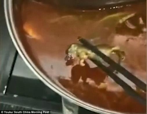 Беременная нашла в супе мертвую крысу! Ресторан предложил ей сделать аборт Это они так хотели откупиться.