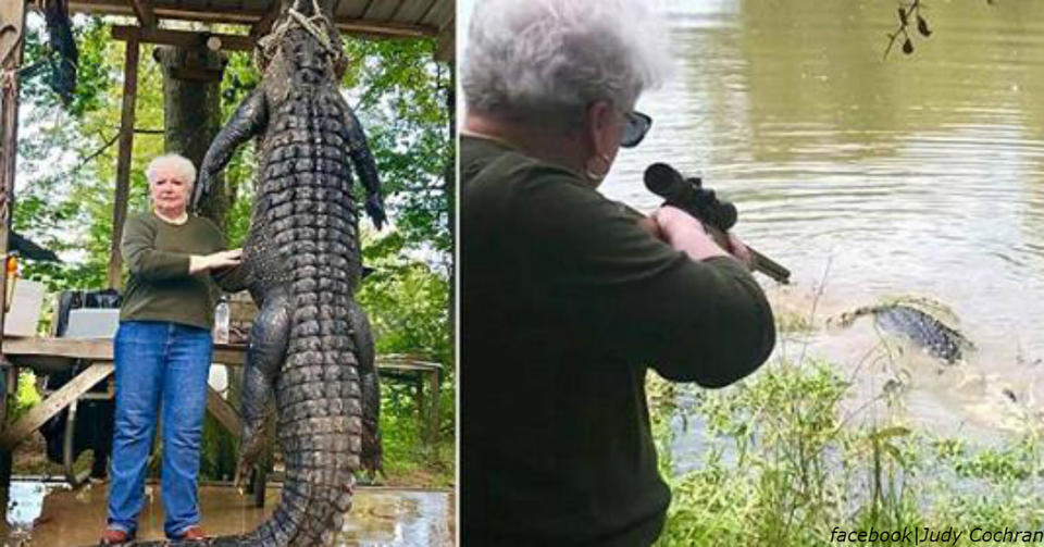 73-летняя бабушка сама убила 4-метрового крокодила, который съел ее пони Не злите зверя!