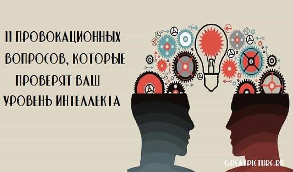 11 провокационных вопросов, которые проверят ваш уровень интеллекта