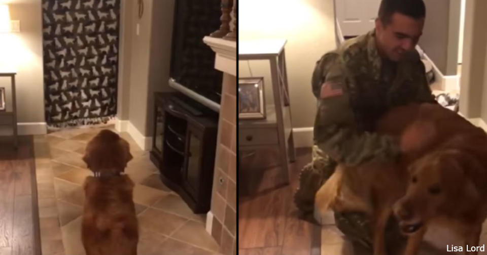 Реакция этой собаки на возвращение хозяина из армии растопила сердца миллионов! Как же она счастлива!