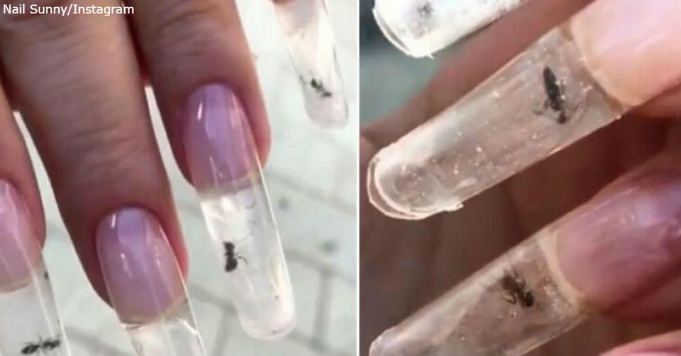 В Москве изобрели новый ″модный тренд″   живые муравьи в акриловых ногтях Выглядит еще хуже, чем звучит...