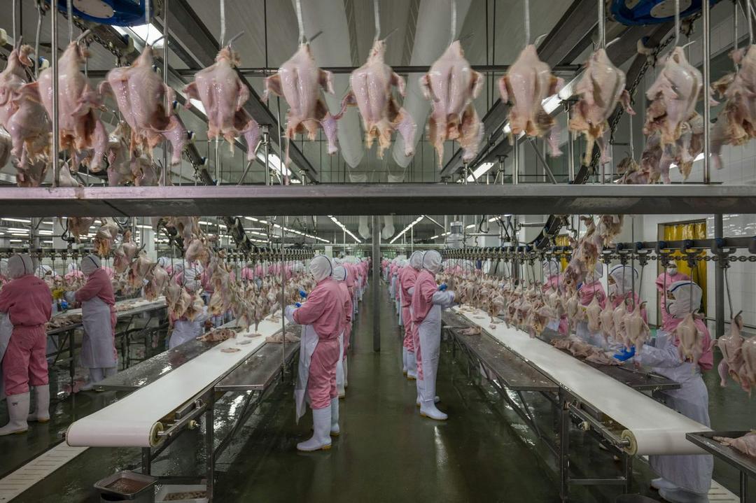 Вот что происходит на фабриках, где делают еду для больших магазинов Вот такая реальность.