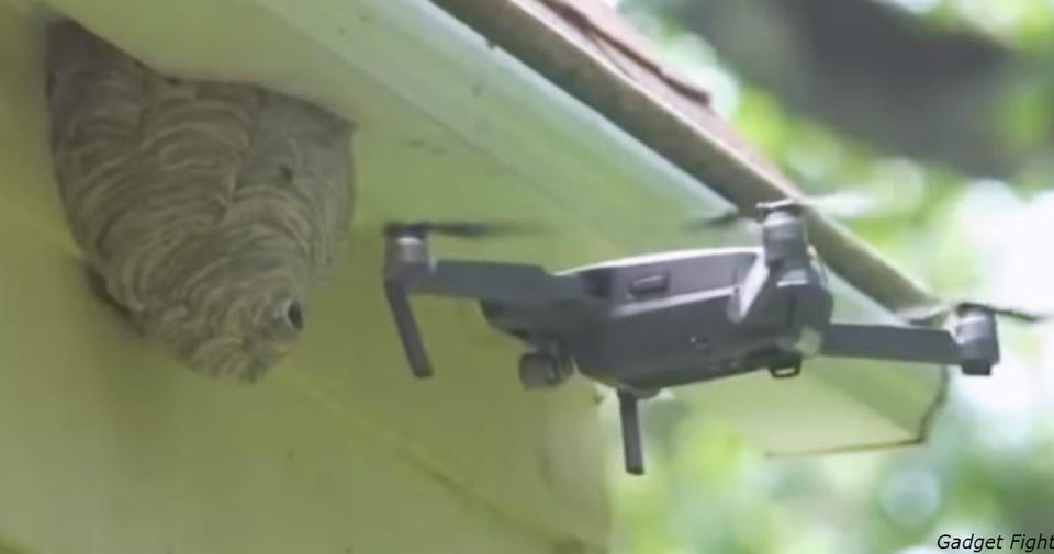Поединок осиного гнезда и дрона попал на видео в Китае! Только взгляните Мужик нашел оригинальный способ решения проблемы.
