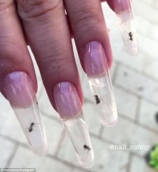 В Москве изобрели новый ″модный тренд″ - живые муравьи в акриловых ногтях Выглядит еще хуже, чем звучит...