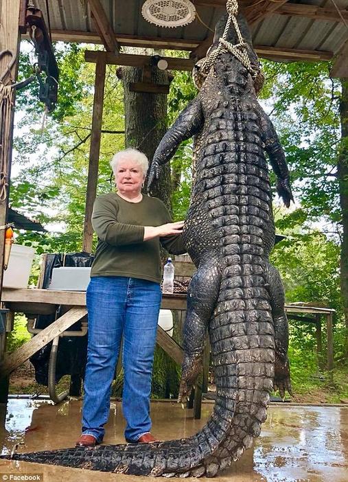 73-летняя бабушка сама убила 4-метрового крокодила, который съел ее пони Не злите зверя!