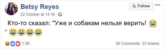 Собака притворялась бездомной, чтобы ей давали еду из McDonald’s. Вот что с ней сделала хозяйка Слава пришла неожиданно.